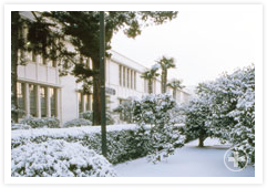 ノートルダムホール本館2　冬の風景