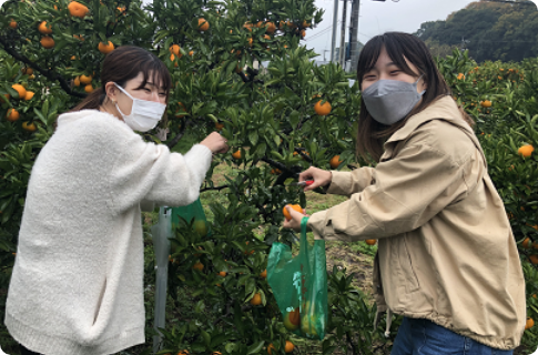 研修旅行