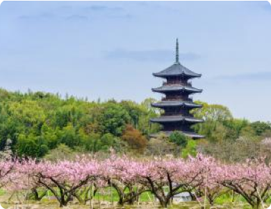 Bitchu Kokubunji Temple