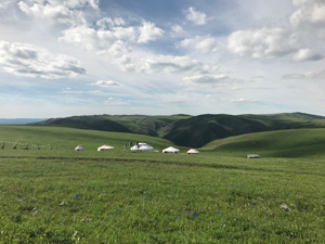 内モンゴルの草原（撮影：木下華子）