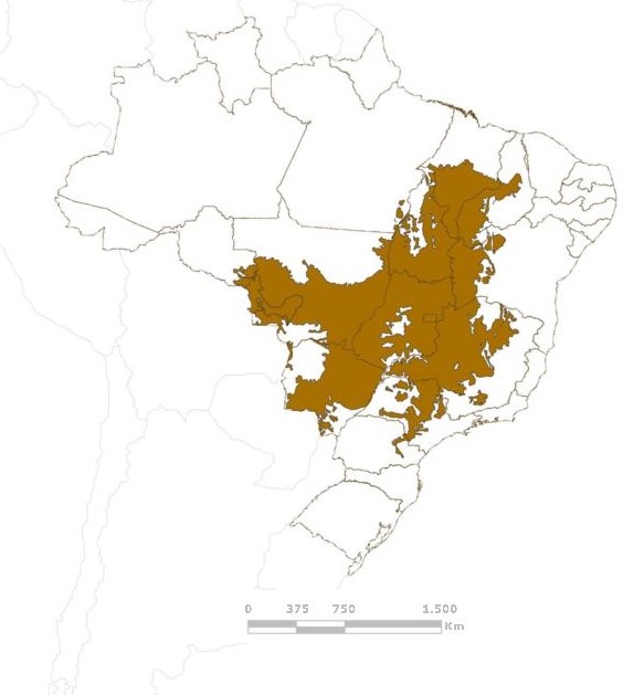 図1　セラードの分布出典：世界自然保護基金（WWF）ブラジル