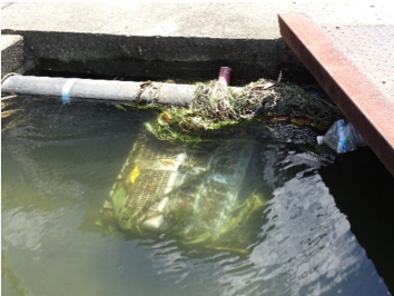 岡山市内の用水路に捨てられていたペットボトルとプラスチック製のかご