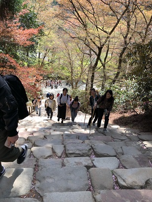 五重塔の前で全員並んでパチリ。本当にお天気にも恵まれた研修になりました。