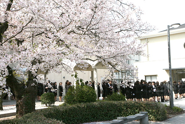 18年度入学宣誓式挙行 ノートルダムの風景 ノートルダム清心女子大学