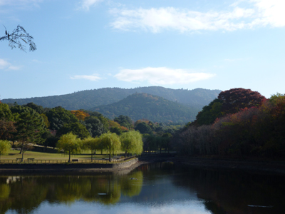 荒池付近から眺める「春日なる三笠の山」