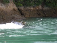 写真3　能島周囲の潮の流れ