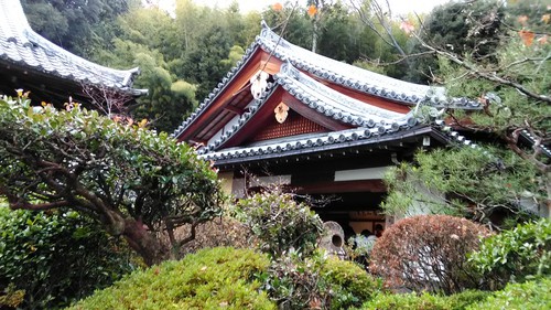鈴虫寺