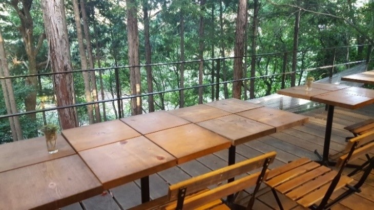 森の見えるカフェのテラス席