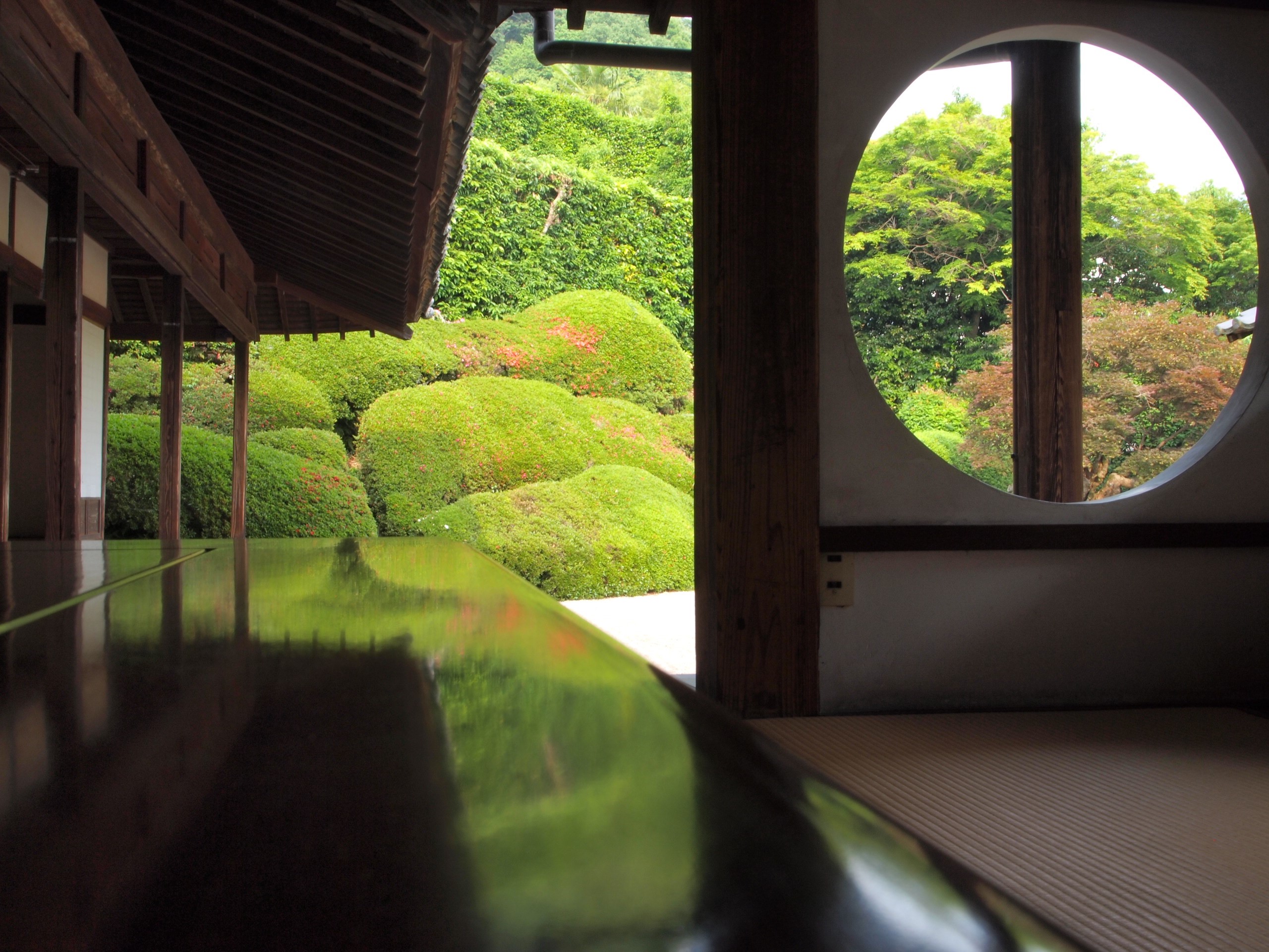 頼久寺の庭