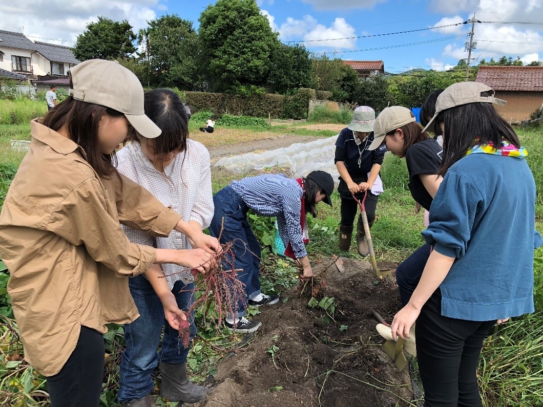 　　　農作業がゼミ生のつながりを強くする？　　　　　（2019年9月16日　二階堂撮影）