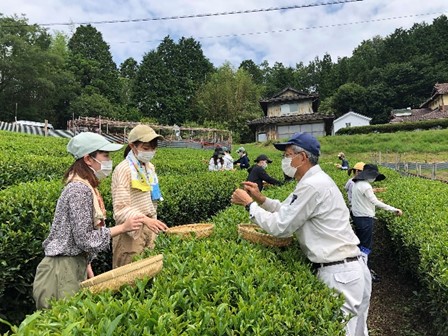 藤田泉さんの指導を受けながら収穫する学生　　　　　　　　　　　　　　　　　　（2020年7月19日二階堂撮影）