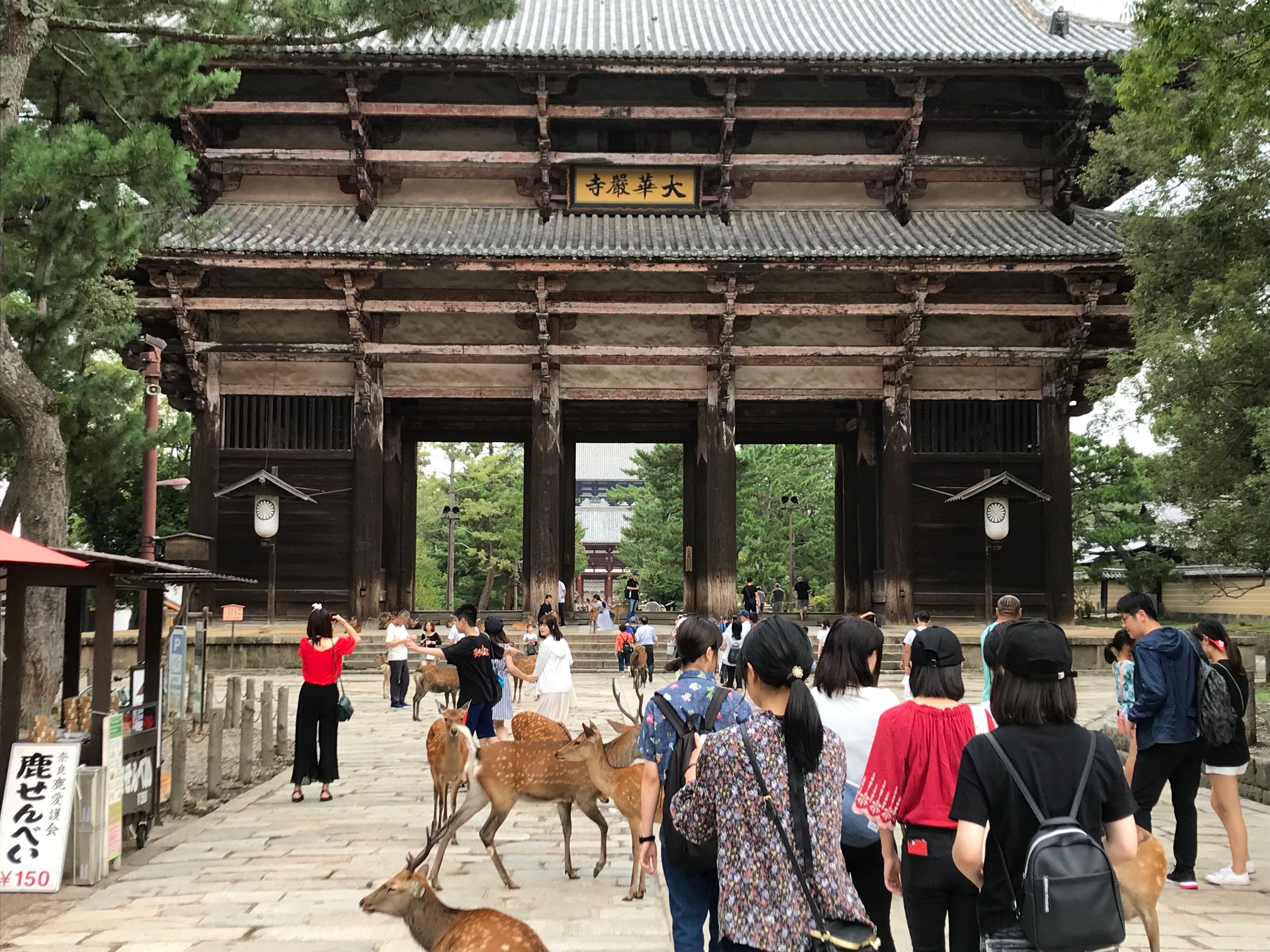 2019年度３年次万葉旅行（飛鳥・奈良）