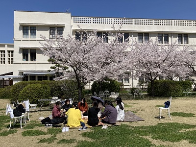 学内でプチお花見会