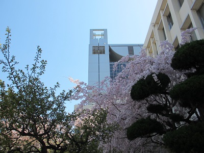 奥の建物が中央棟