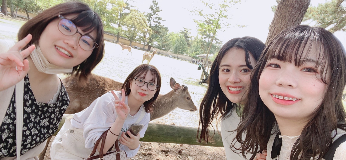 奈良公園にて　鹿と私達