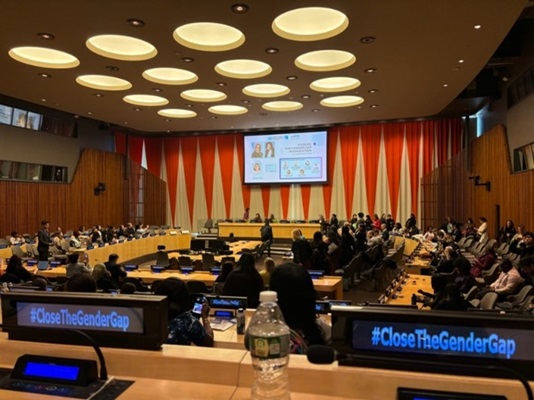 写真3　ECOSOC and Social Chamberにて 北欧諸国のサイドイベント(2024年3月11日)
