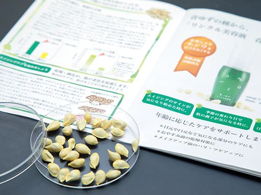 研究概要・実践活動イメージ